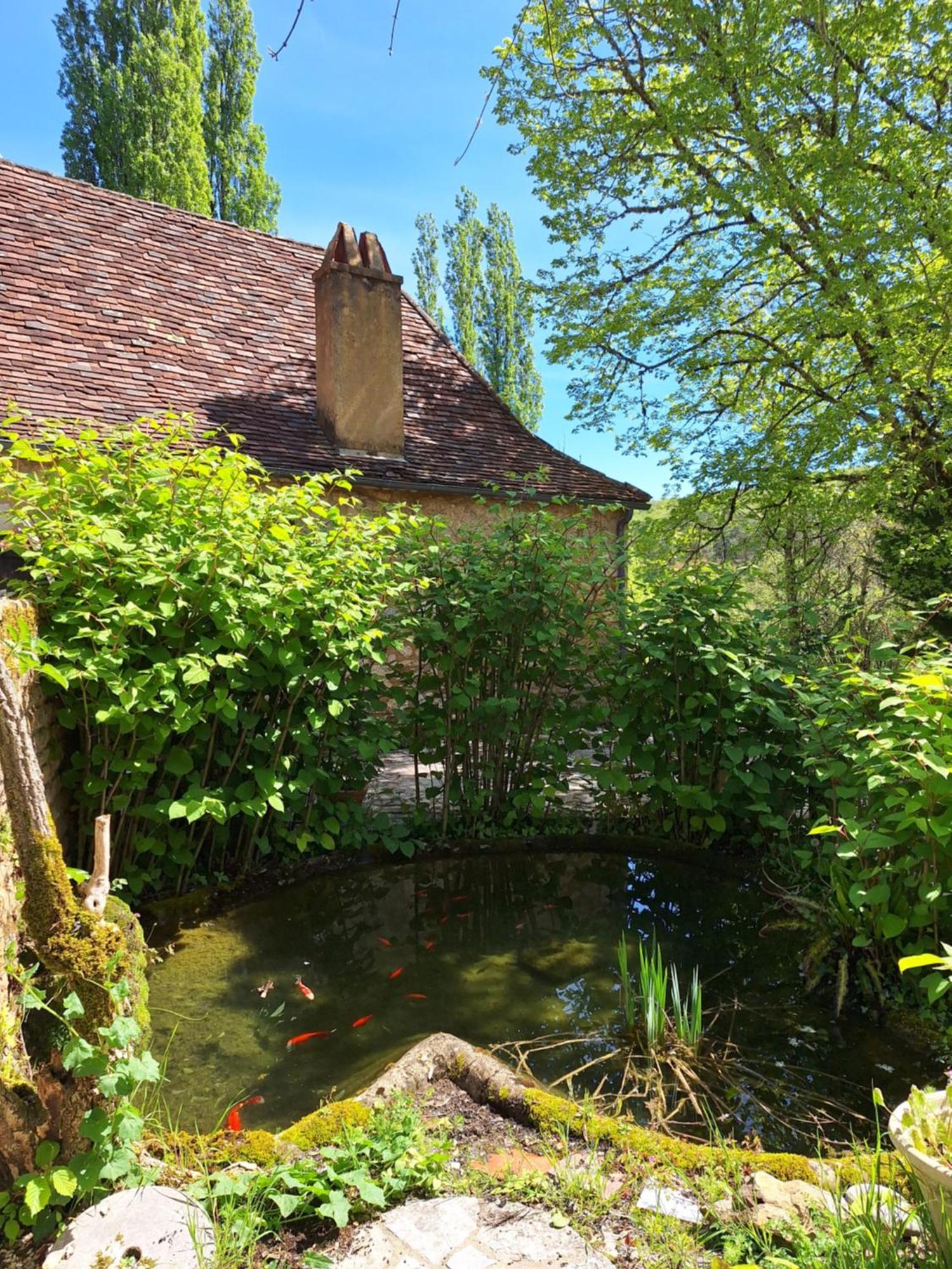 Albergue La Ferme Du Soleillal - Adult Only Campagne  Exterior foto